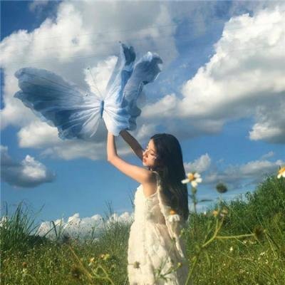 白莲花